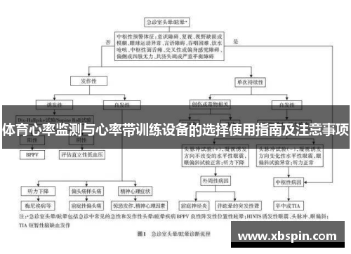 体育心率监测与心率带训练设备的选择使用指南及注意事项